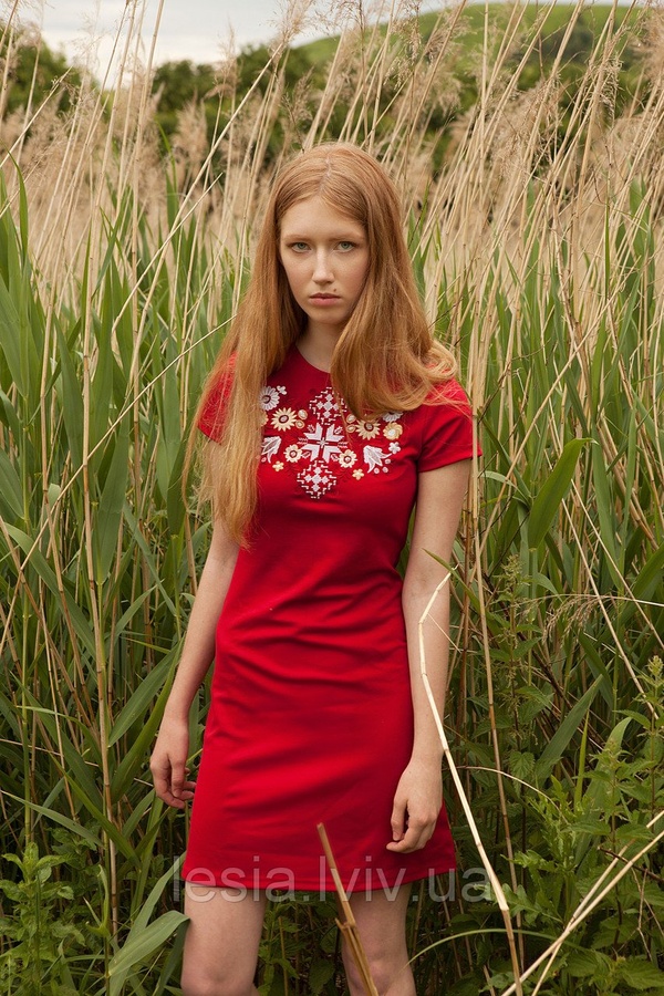 Сукня Лісова пісня золота на червоному – короткий рукав, бордо